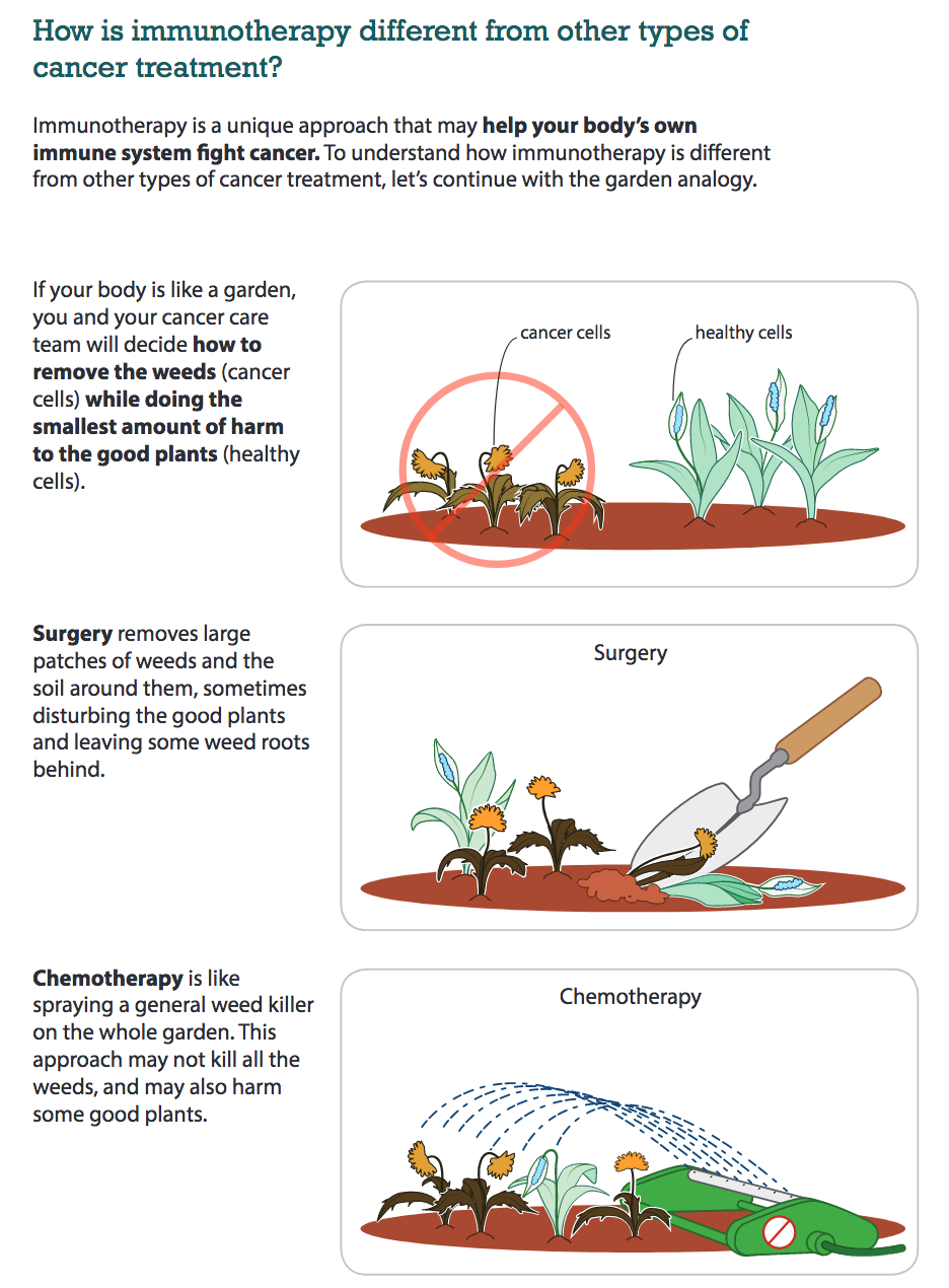 Screen Shot 2018-12-28 at 7.11.51 PM.png